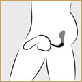 ass-gasm cockring plug