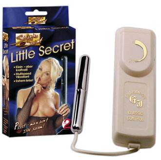 Silvia Saint "Little Secret"