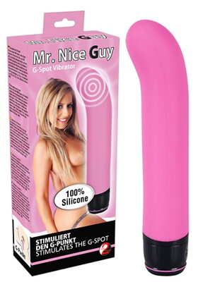 Vibrator Mr. Nice Guy